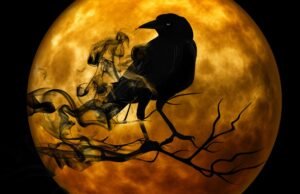 Crow silhouette with blood moon