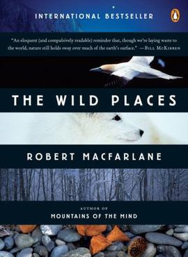 The Wild Places book cover